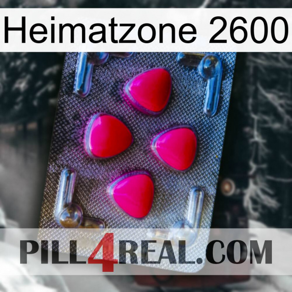 Home Zone 2600 13.jpg